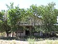 Store, Ragland, New Mexico