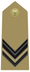 Rank insignia of caporale of the Army of Italy (1973).svg