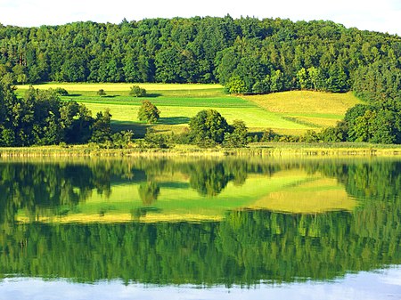 Reflection panoramio (50)