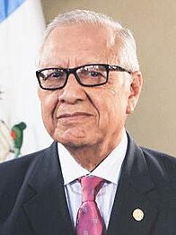 Alejandro Maldonado, Magistrate of the Constitutional Court since 1986