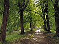 This is an image of rijksmonument number 520634 tuin buitenplaats Nijenrode, Breukelen