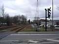 Natursti Ringe-Korinth starter ved Ørbækvej syd for Ringe Station.