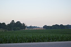 Robinson Township cornfield.jpg