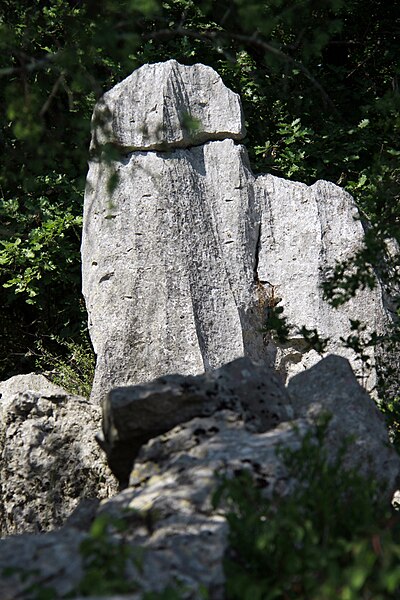 File:Roche calcaire érodée.JPG