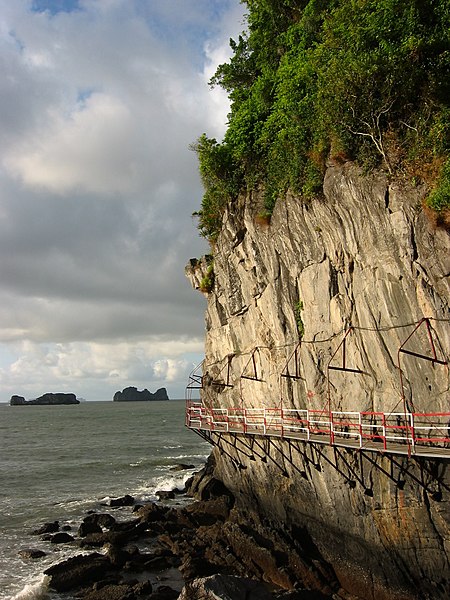 File:Route in cliff Cat Ba.JPG
