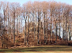 Ruine Schneeburg.jpg