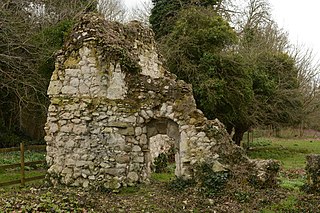 Ankerwycke Priory Benedictine nunnery with associated moat and fishponds