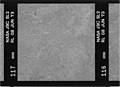 Kodak B&W infrared film with 800-900 nm bandpass filter