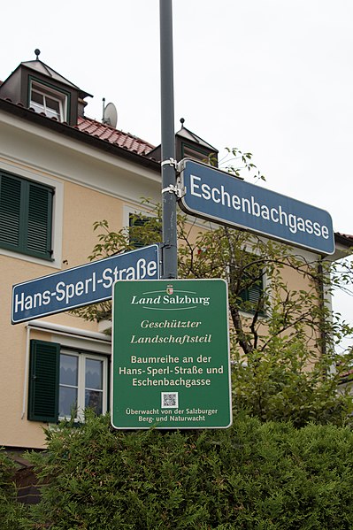 File:Salzburg - Salzburg-Süd - GLT Baumreihe Sperl-Eschenbach-Straße - 2019 08 12-2.jpg