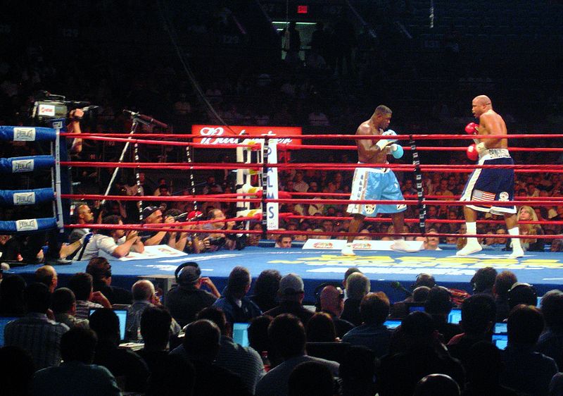 File:Samuel Peter vs. Jameel McCline and press seats.jpg