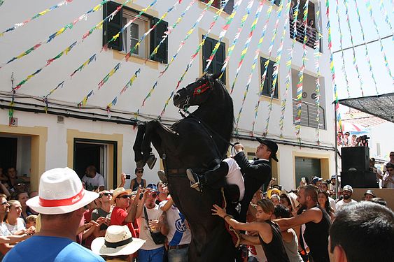 Sant Cristòfol de ses Corregudes Discasto