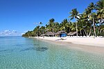 Vignette pour Île Saona