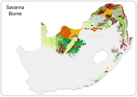 Savanna.svg