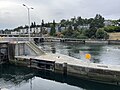 Ballard Locks