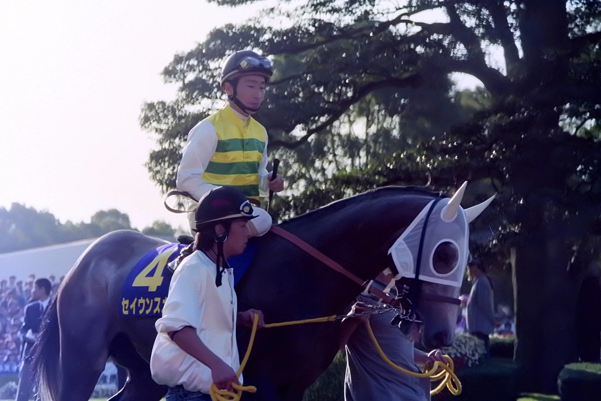 JRA セイウンスカイ 値引き - スポーツ・フィットネス