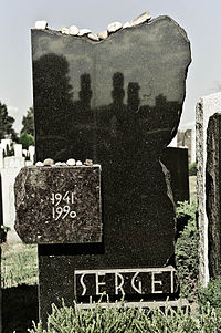 Могила Довлатова на кладбище Маунт-Хеброн в Нью-Йорке, 26 июля 2010 г.