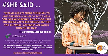 SheSaid campaign quoting Chimamanda Ngozi Adichie.jpg