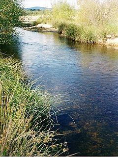 Shoalhaven River River in Australia