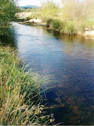 <span class="mw-page-title-main">Shoalhaven River</span> River in Australia