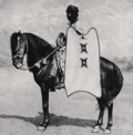 Miniatuur voor Bestand:Sokoto cavalry.png