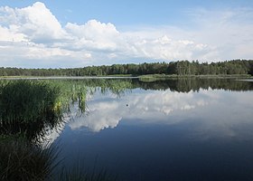 Helenów (Radom)