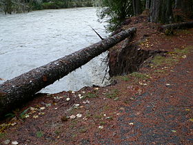 Stillaguamish River in flood