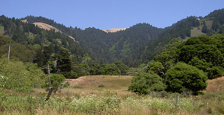 Stinson Gulch 3430