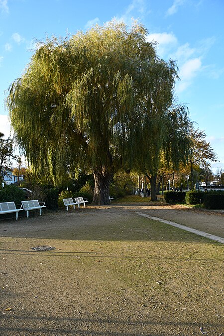 Stralsund, Sundpromenade (2023 11 04) 11