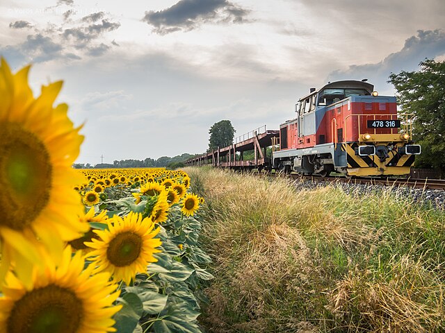 Freight train in Hungary