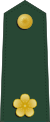 Taiwan-army-OF-3.svg