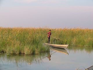 <span class="mw-page-title-main">Shadegan Ponds</span> Wetland in Iran