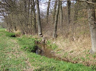 Tappert north of the hollow mill