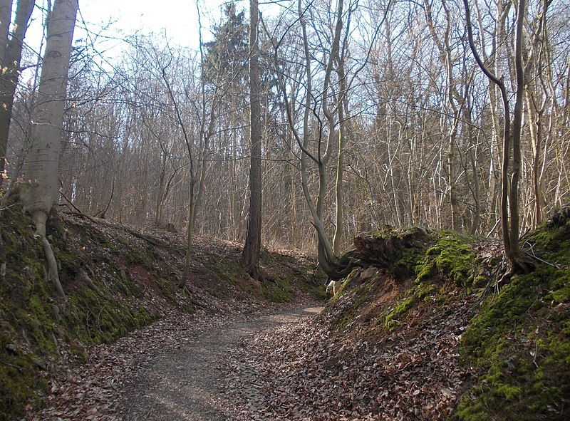 File:ThalwinkelHohlweg.JPG