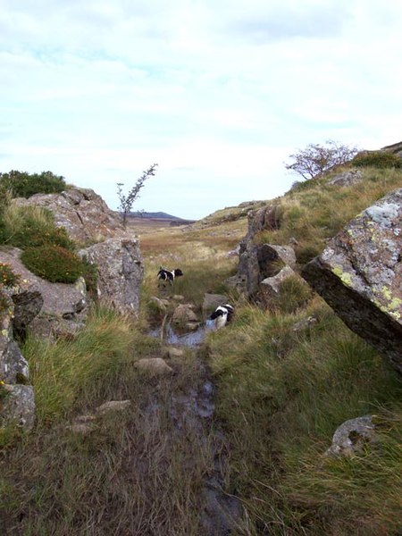 File:The Eigiau Tramway - geograph.org.uk - 657857.jpg