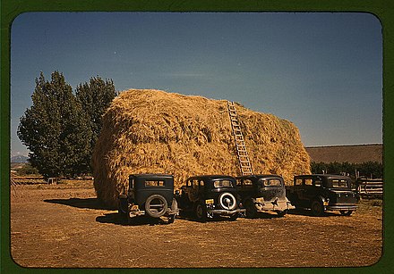 Hay stack and automobiles of peach pickers, Delta County, 1940.