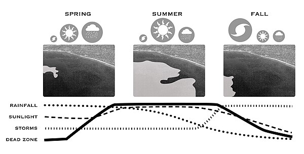 Climate has a significant impact on the growth and decline of ecological dead zones. During spring months, as rainfall increases, more nutrient-rich w