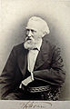 Theodor Storm (1817-1888).jpg