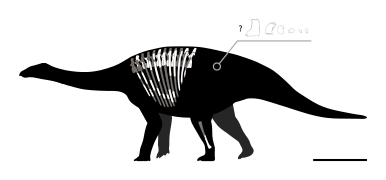 Thyreosaurus