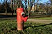 Toulouse - Red fire hydrant.jpg