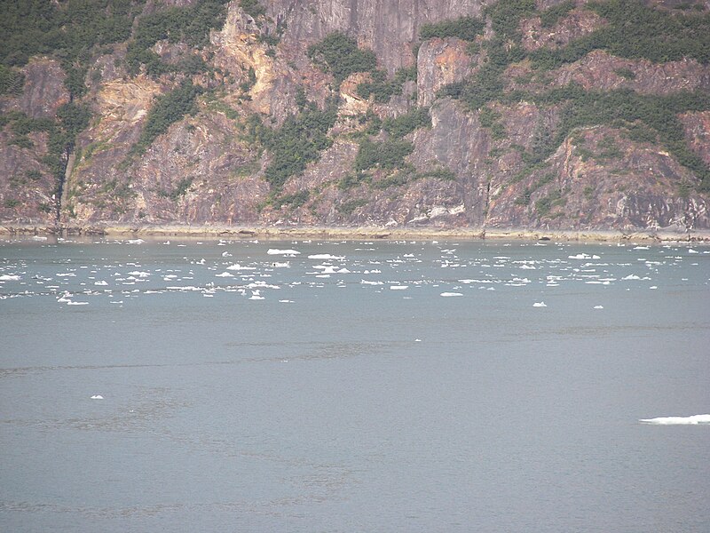 File:Tracy Arm coast 81.jpg