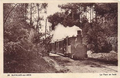 St-Palais-sur-Mer - Le Tram en foret