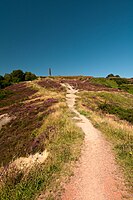 Troopers' Hill View