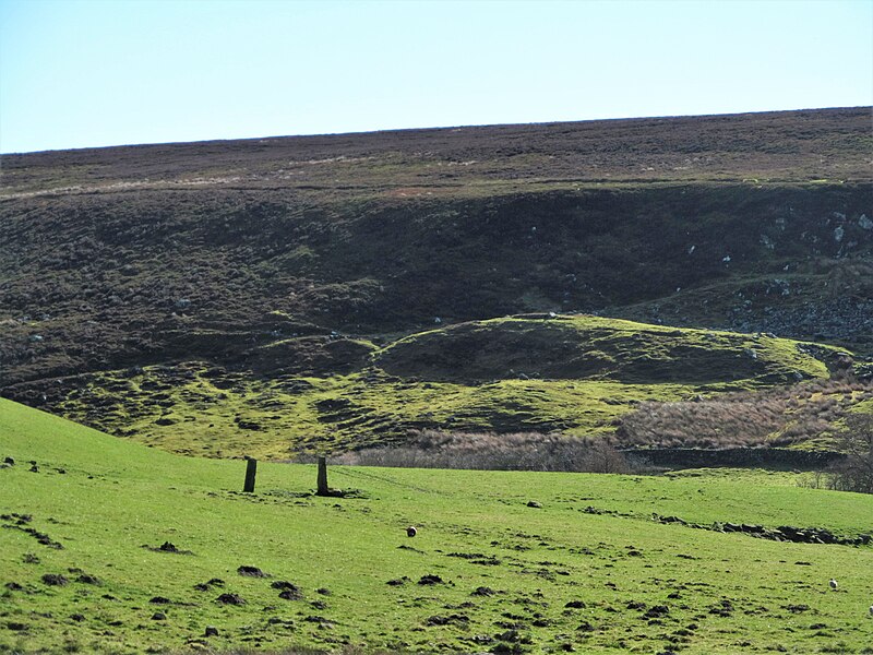 File:Two lonely gateposts - geograph.org.uk - 6083542.jpg