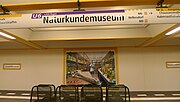 Vorschaubild für U-Bahnhof Naturkundemuseum