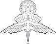 US Military Master Free Fall Parachutist Badge.jpg