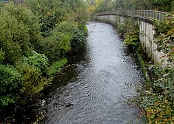 Upstream along the Rhondda River, Tonypandy - geograph.org.uk - 5565537.jpg