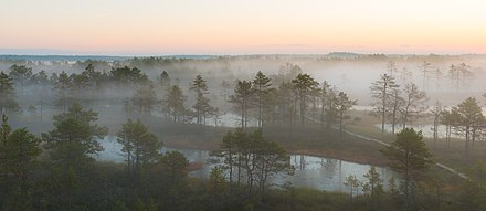 Viru bog in the Lahemaa National Park, Estonia, before sunrise