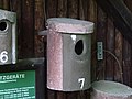 Vogelhaus - Bruthöhle für Rauhfusskauz, Holhltaube und Wiedehopf