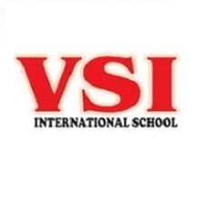 Vsi-international-logo (1) .jpg