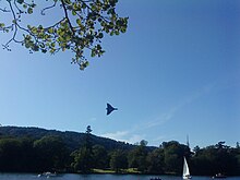 Windermere Airshow 2009 Vulcan at Windermere.jpg